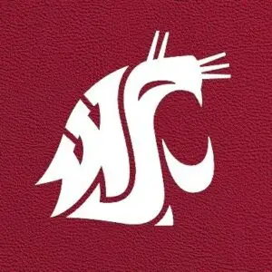 Washington State logo